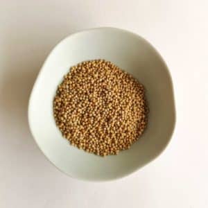 Graines de Moutarde BIO