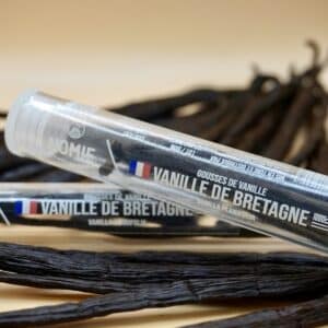 Vanille de bretagne, Nomie